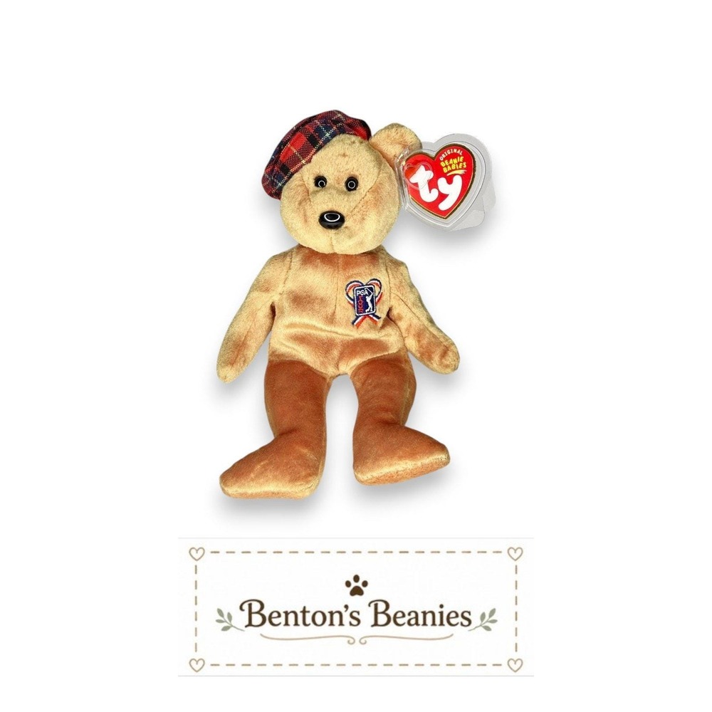 ChariTee the Bear TY Beanie Baby | Mint Heart & Tush Tag